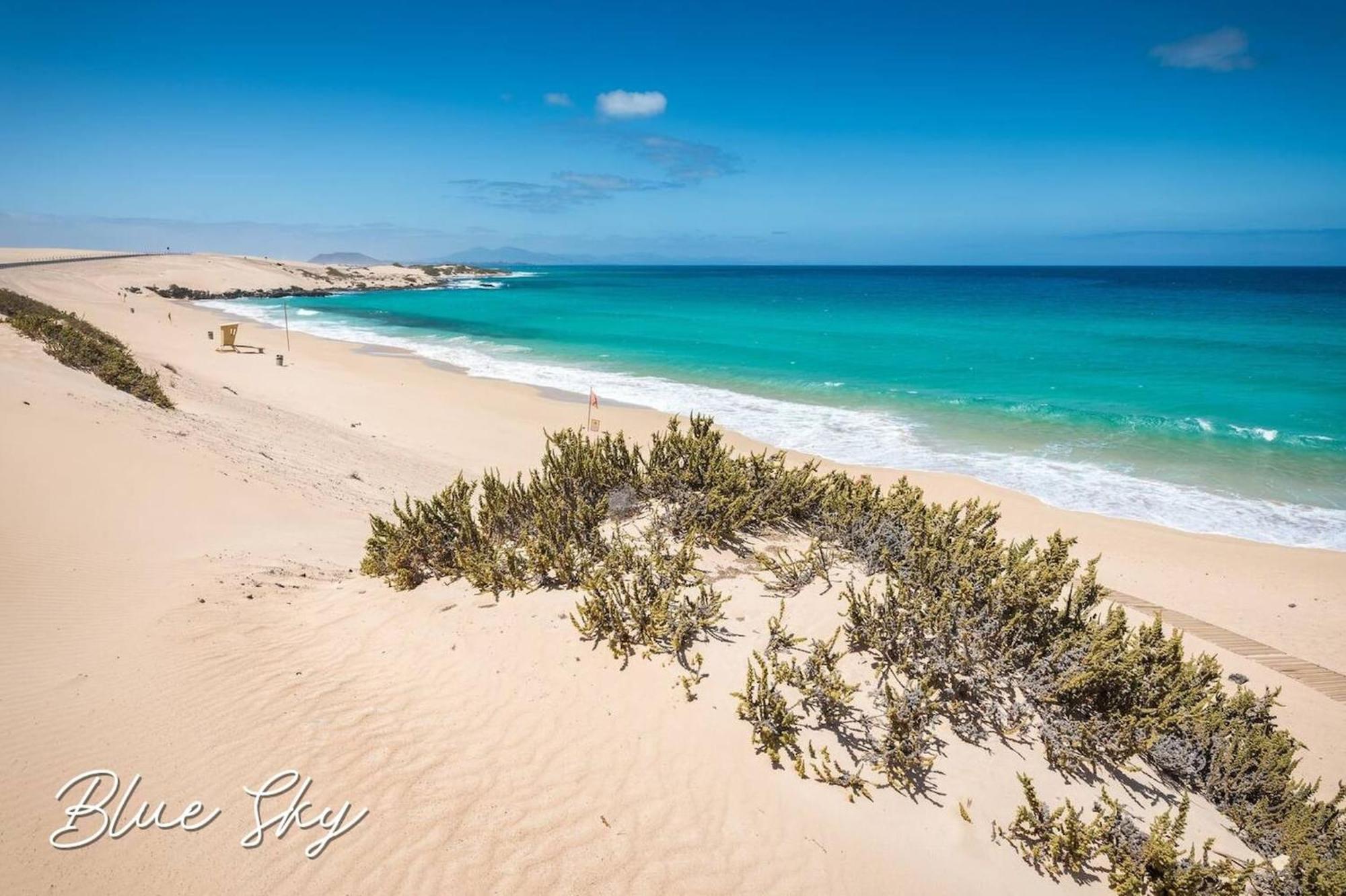 Corralejo Sun 335 Blue Sky By Rentalfue Bagian luar foto